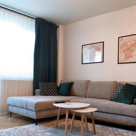 Apartament Mony 蒂米什瓦拉 外观 照片