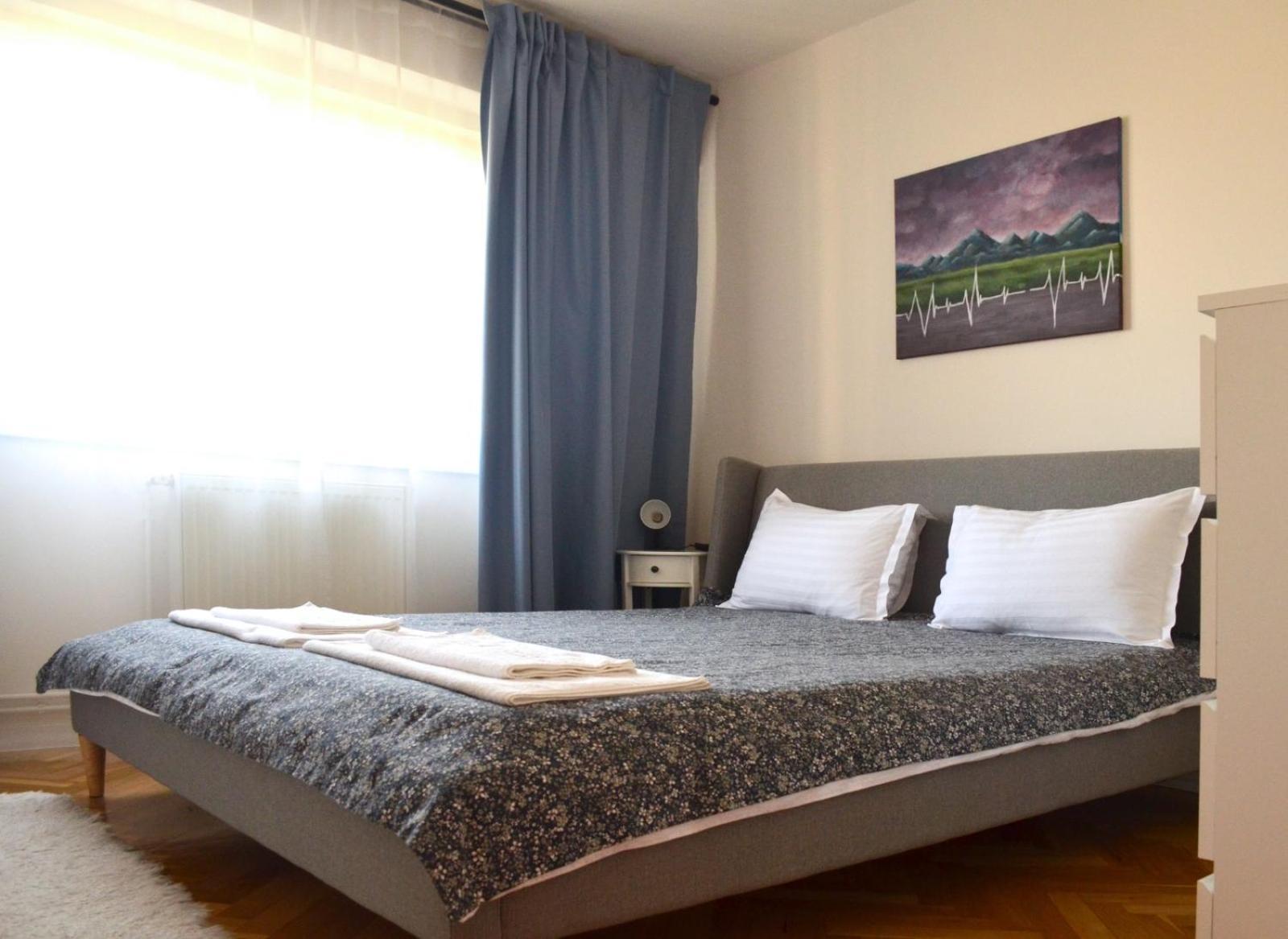 Apartament Mony 蒂米什瓦拉 外观 照片