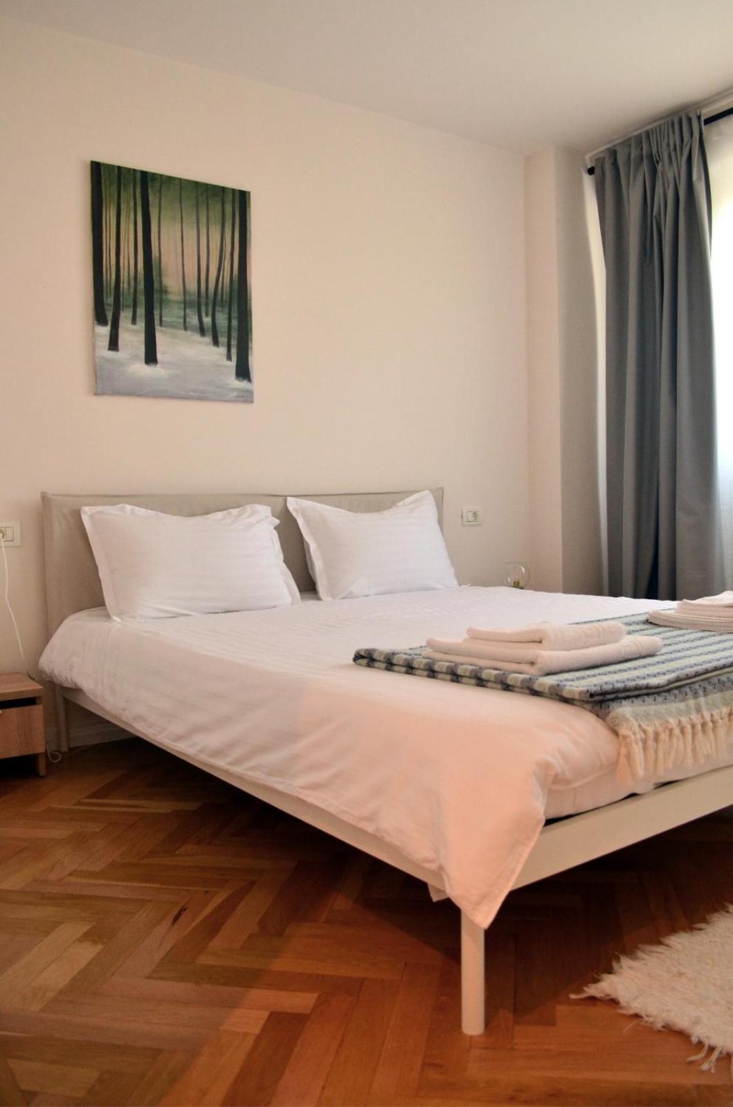 Apartament Mony 蒂米什瓦拉 外观 照片